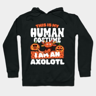 This is my human costume i am  an Axolotl Hoodie